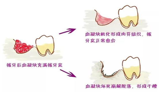 微信截图_20200807180743.png